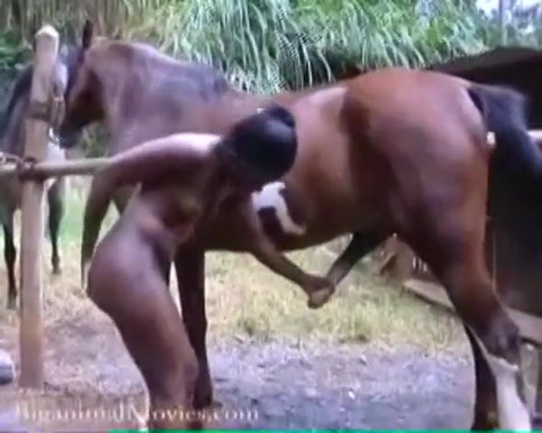 epic horse fuckwith africa girl very more cumshot and get wet every hole 1
